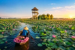 Đại lý pháo hoa tại Đồng Tháp