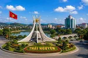 Đại lý pháo hoa tại Thái Nguyên